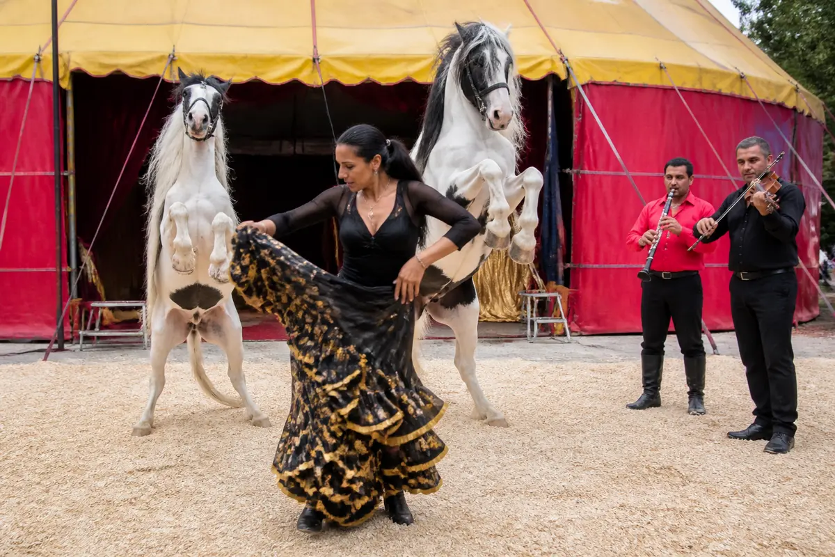 Cirque Romanès : Réservation de billets et plongée dans l’âme tzigane !